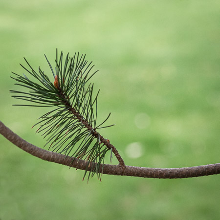 Assignment 6 | Nature & Beauty in Washtenaw County